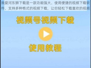 我爱河东狮下载是一款功能强大、使用便捷的视频下载软件，支持多种格式的视频下载，让你轻松下载喜欢的视频