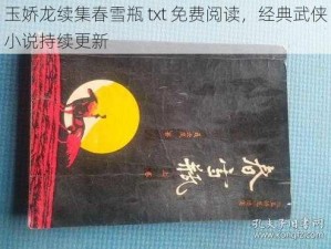 玉娇龙续集春雪瓶 txt 免费阅读，经典武侠小说持续更新