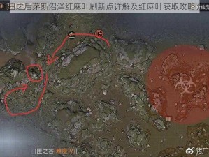 明日之后茅斯沼泽红麻叶刷新点详解及红麻叶获取攻略介绍