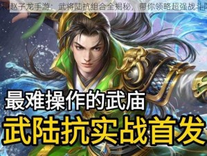 《武神赵子龙手游：武将陆抗组合全揭秘，带你领略超强战斗阵容》