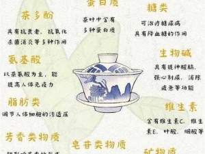 政和工夫茶之深度解析：本茶纲目特色及品质探讨