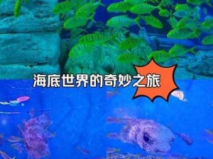 海底奇遇：一场震撼心灵的奇妙冒险之旅，你准备好了吗？