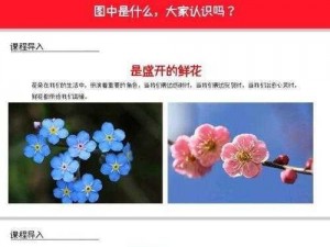 野花社区在线观看高清：为何不能流畅观看？有何解决方法？