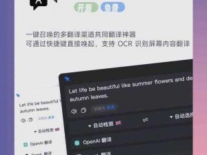 XX 浏览器，安全稳定，畅游 P 站无阻碍