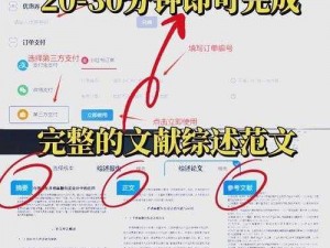 关于视野得分20的获得之道：深度解析与策略探讨