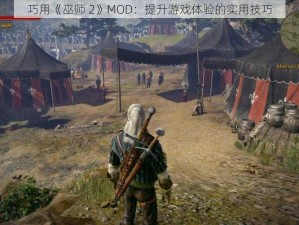 巧用《巫师 2》MOD：提升游戏体验的实用技巧