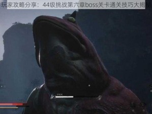 玩家攻略分享：44级挑战第六章boss关卡通关技巧大揭秘