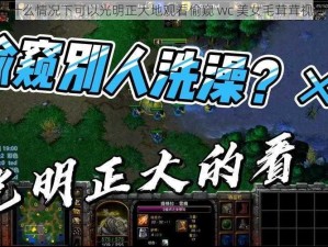 在什么情况下可以光明正大地观看偷窥 wc 美女毛茸茸视频？