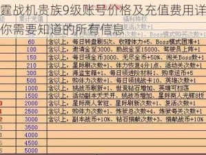 雷霆战机贵族9级账号价格及充值费用详解：你需要知道的所有信息