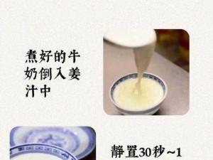 传统工艺与现代技术的完美结合——姜汁撞奶 POH，给你带来全新的味蕾体验