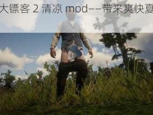 荒野大镖客 2 清凉 mod——带来爽快夏日体验