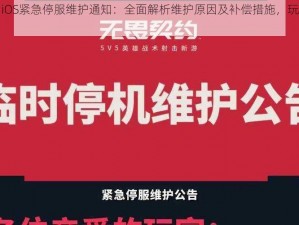 时空之刃iOS紧急停服维护通知：全面解析维护原因及补偿措施，玩家必看指南