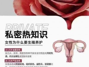 女性各种 B 型，呵护女性健康的私密好物