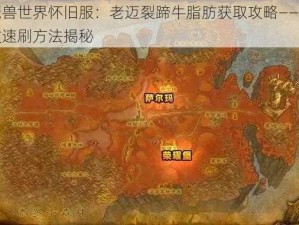 魔兽世界怀旧服：老迈裂蹄牛脂肪获取攻略——高效速刷方法揭秘