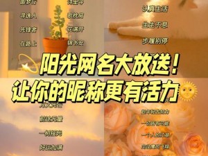 17C 最新网名怎么取？有哪些取名技巧和注意事项？