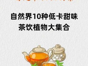 仙踪林网站首页——探索健康美味的茶饮世界