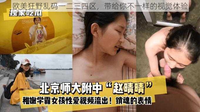 欧美狂野乱码一二三四区，带给你不一样的视觉体验