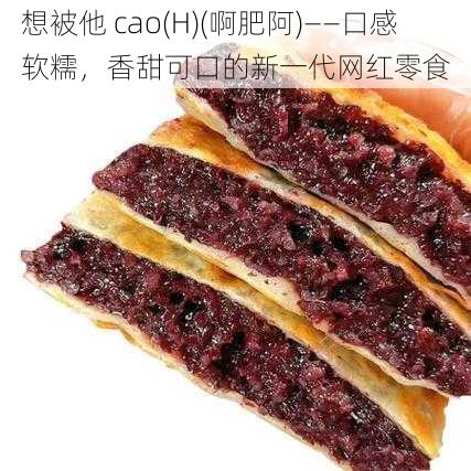 想被他 cao(H)(啊肥阿)——口感软糯，香甜可口的新一代网红零食