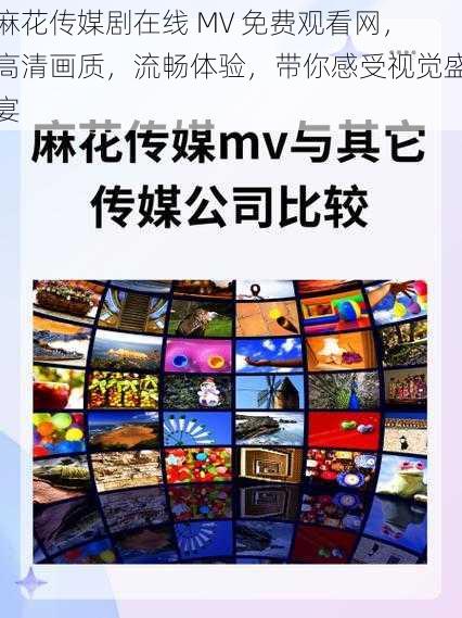 麻花传媒剧在线 MV 免费观看网，高清画质，流畅体验，带你感受视觉盛宴