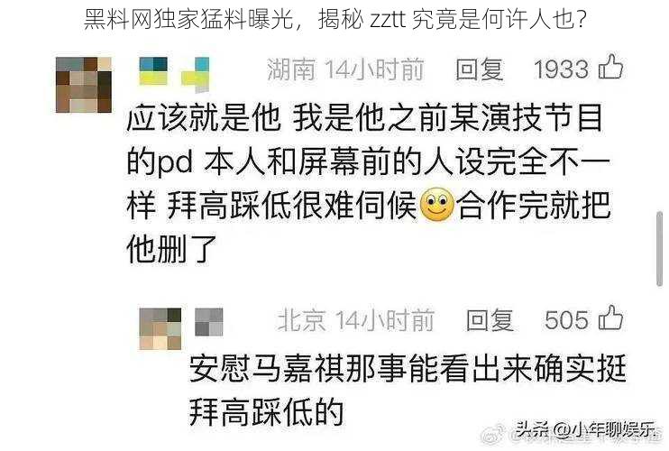 黑料网独家猛料曝光，揭秘 zztt 究竟是何许人也？