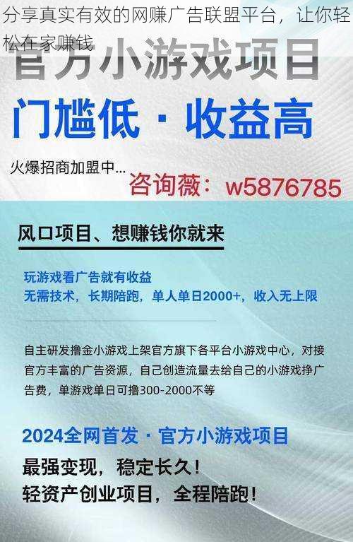 分享真实有效的网赚广告联盟平台，让你轻松在家赚钱