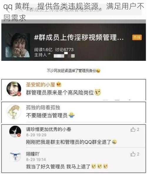 qq 黄群，提供各类违规资源，满足用户不同需求