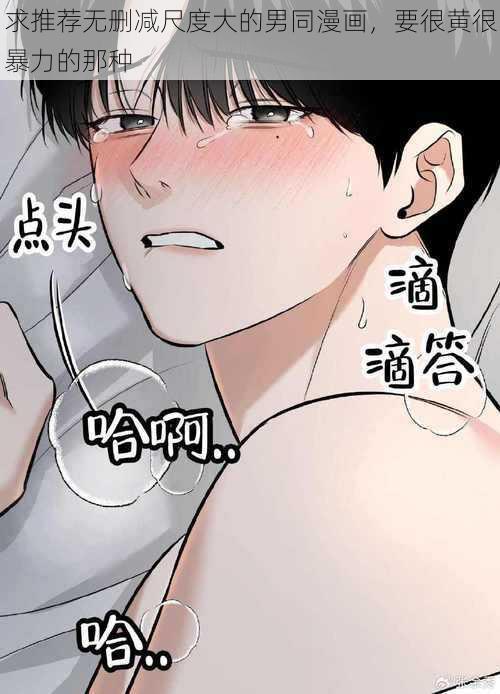 求推荐无删减尺度大的男同漫画，要很黄很暴力的那种