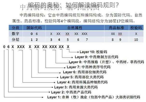 编码的奥秘：如何解读编码规则？