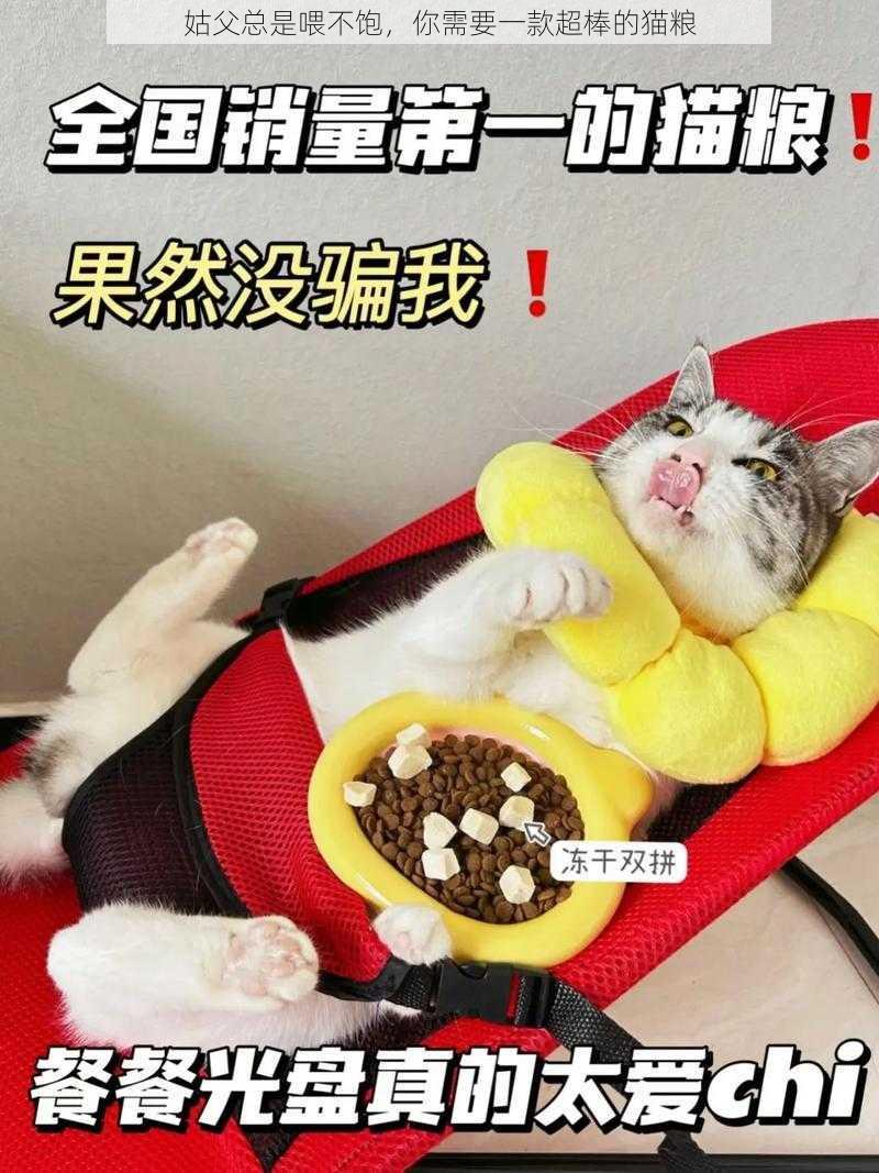 姑父总是喂不饱，你需要一款超棒的猫粮