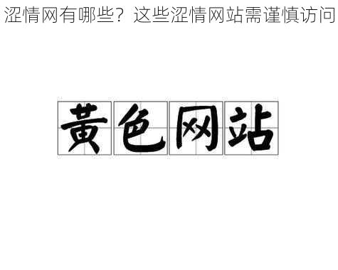 涩情网有哪些？这些涩情网站需谨慎访问