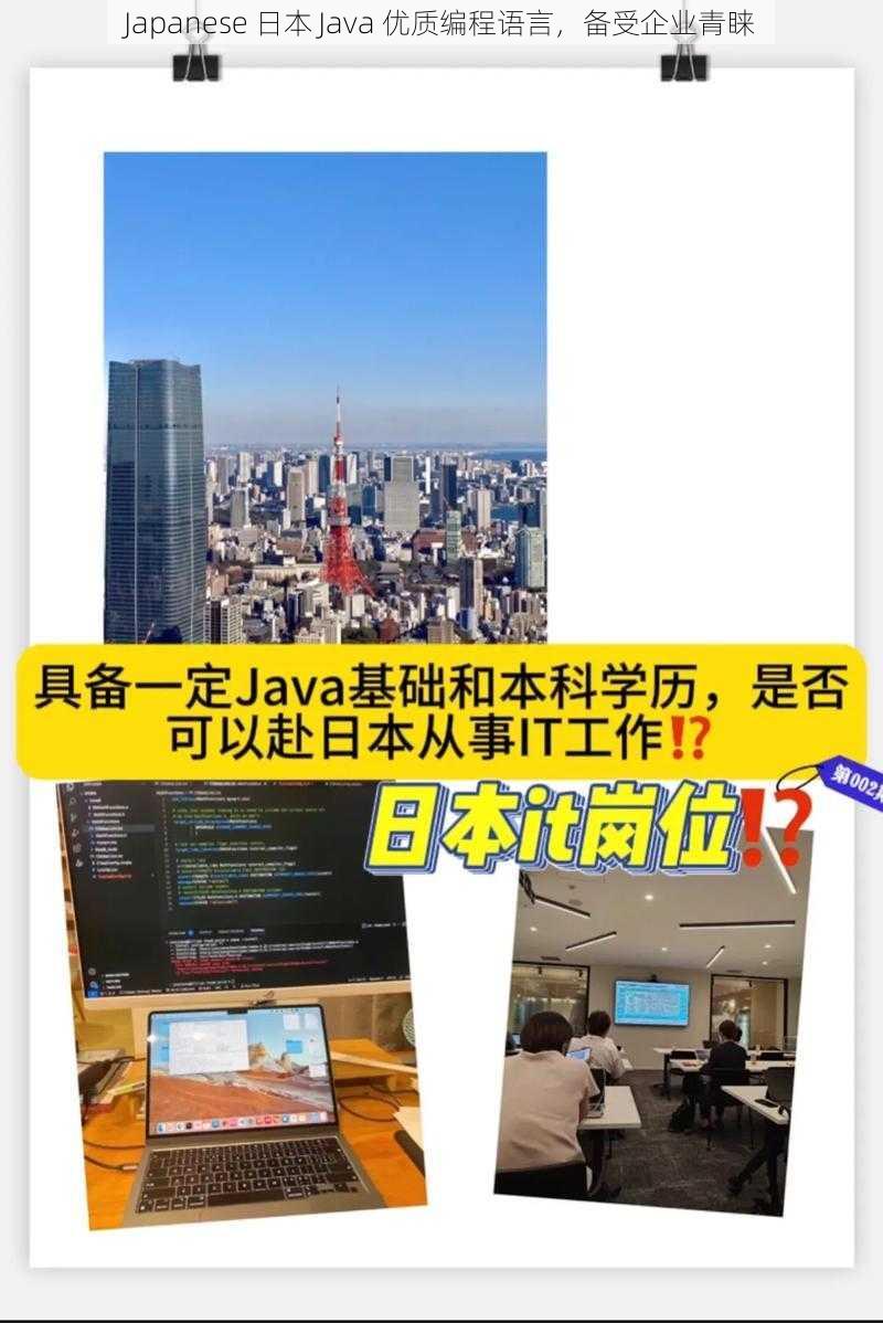 Japanese 日本 Java 优质编程语言，备受企业青睐