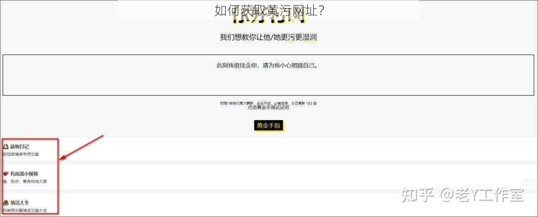 如何获取黄污网址？