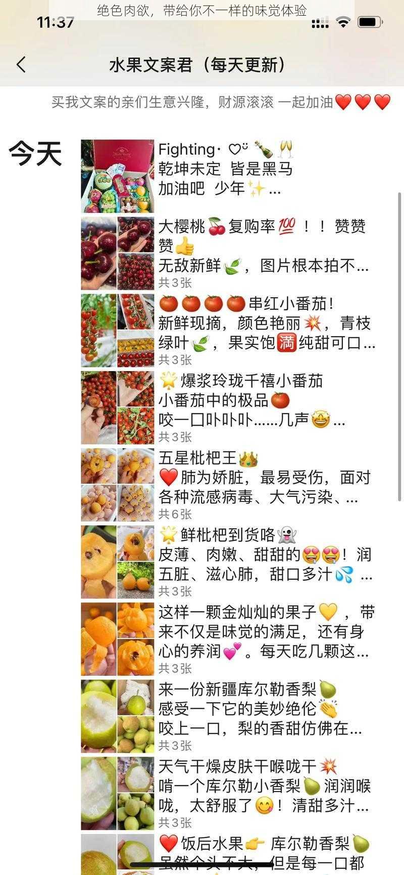 绝色肉欲，带给你不一样的味觉体验