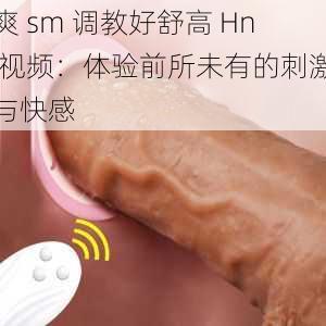 爽 sm 调教好舒高 Hn 视频：体验前所未有的刺激与快感