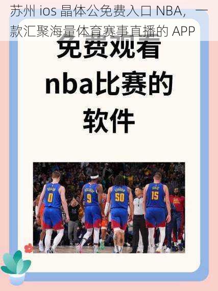 苏州 ios 晶体公免费入口 NBA，一款汇聚海量体育赛事直播的 APP