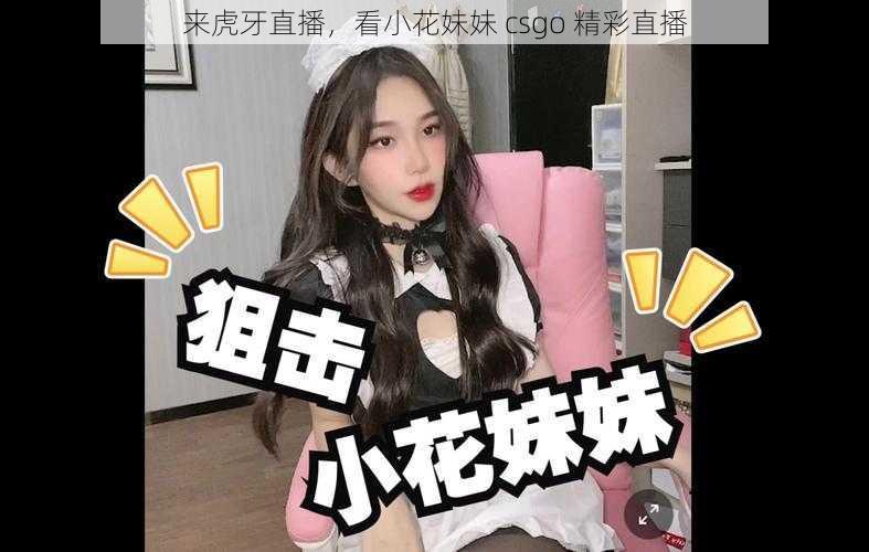 来虎牙直播，看小花妹妹 csgo 精彩直播