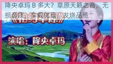 降央卓玛 B 多大？草原天籁之音，无损音质，车载优盘，发烧品质