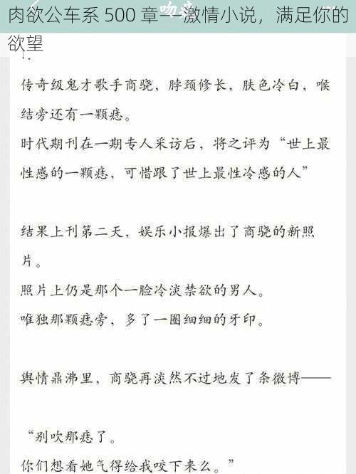 肉欲公车系 500 章——激情小说，满足你的欲望