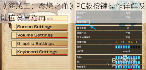 《海贼王：燃烧之血》PC版按键操作详解及键位设置指南