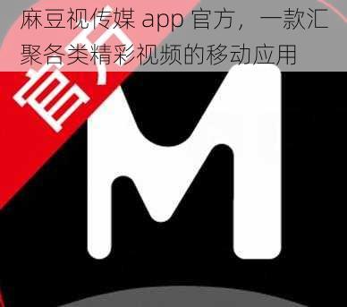 麻豆视传媒 app 官方，一款汇聚各类精彩视频的移动应用