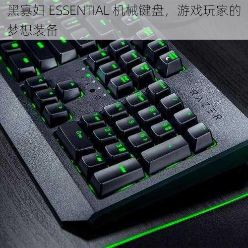 黑寡妇 ESSENTIAL 机械键盘，游戏玩家的梦想装备