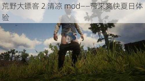 荒野大镖客 2 清凉 mod——带来爽快夏日体验