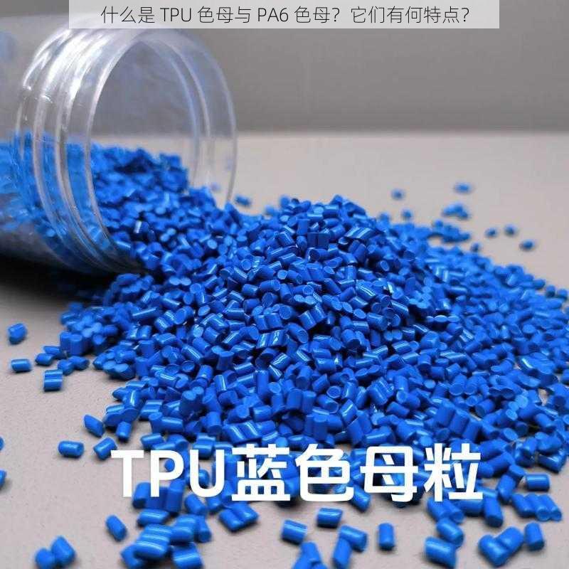 什么是 TPU 色母与 PA6 色母？它们有何特点？