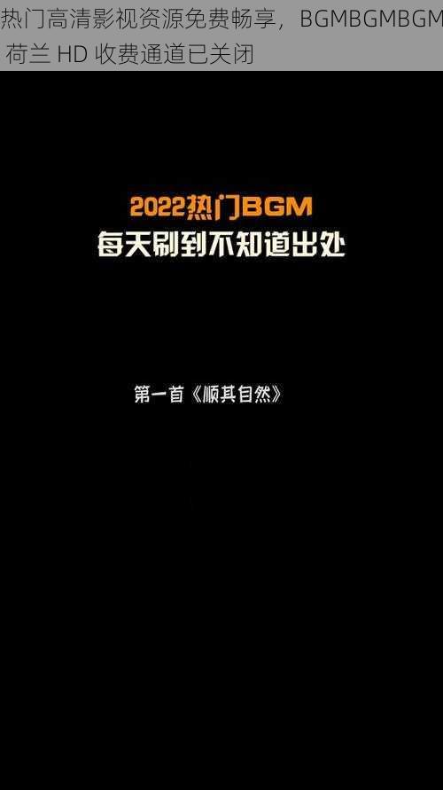 热门高清影视资源免费畅享，BGMBGMBGM 荷兰 HD 收费通道已关闭