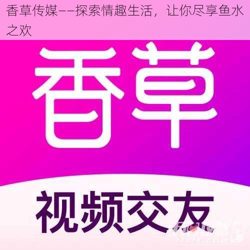 香草传媒——探索情趣生活，让你尽享鱼水之欢