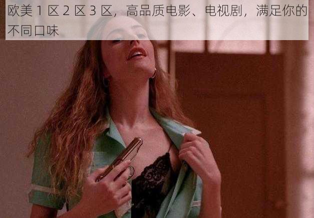 欧美 1 区 2 区 3 区，高品质电影、电视剧，满足你的不同口味