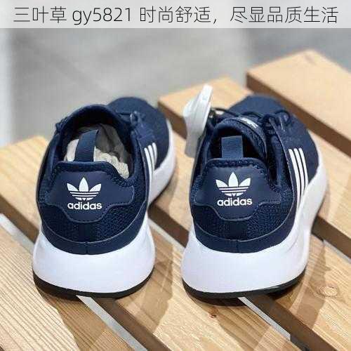 三叶草 gy5821 时尚舒适，尽显品质生活