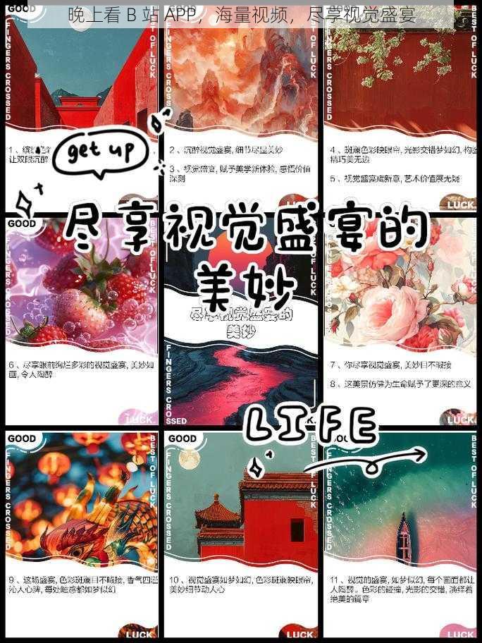 晚上看 B 站 APP，海量视频，尽享视觉盛宴