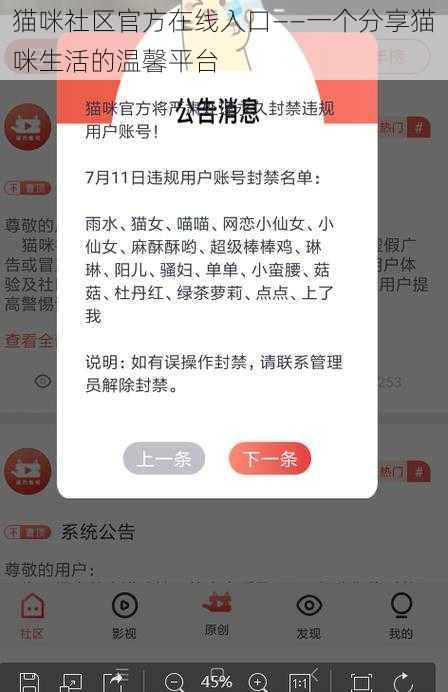 猫咪社区官方在线入口——一个分享猫咪生活的温馨平台