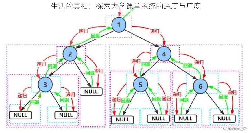 生活的真相：探索大学课堂系统的深度与广度